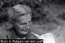 Margaretha Jacoba Vos (1878-1973). Uit een foto album van Anna Rutgers van der Loeff (1902-1978).