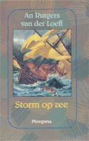Storm op zee